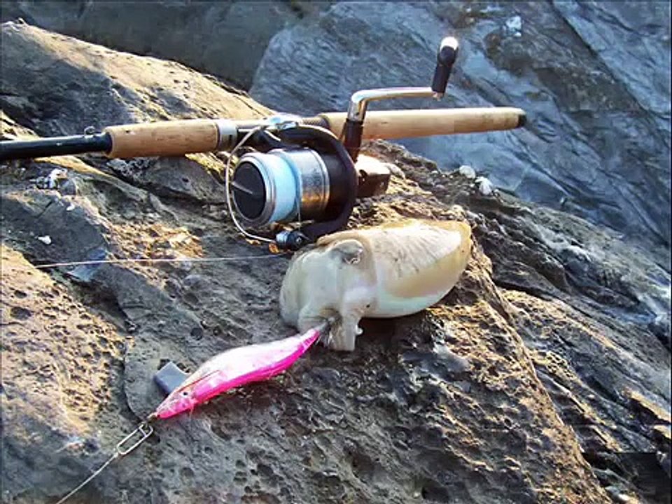 Surf Casting, Rock Fishing e Spinning in Toscana. 2007.