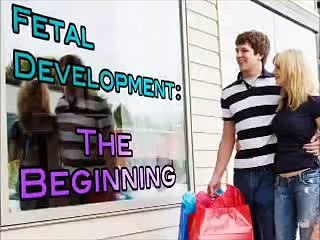 Week by week pregnancy - Week 1-3