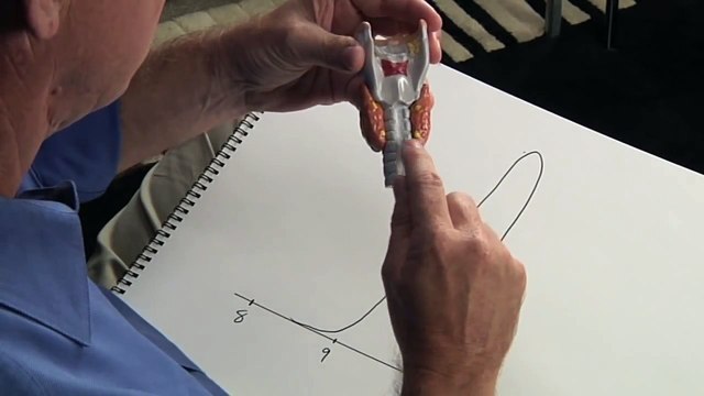 What Are Parathyroid Glands? How Calcium is Controlled.
