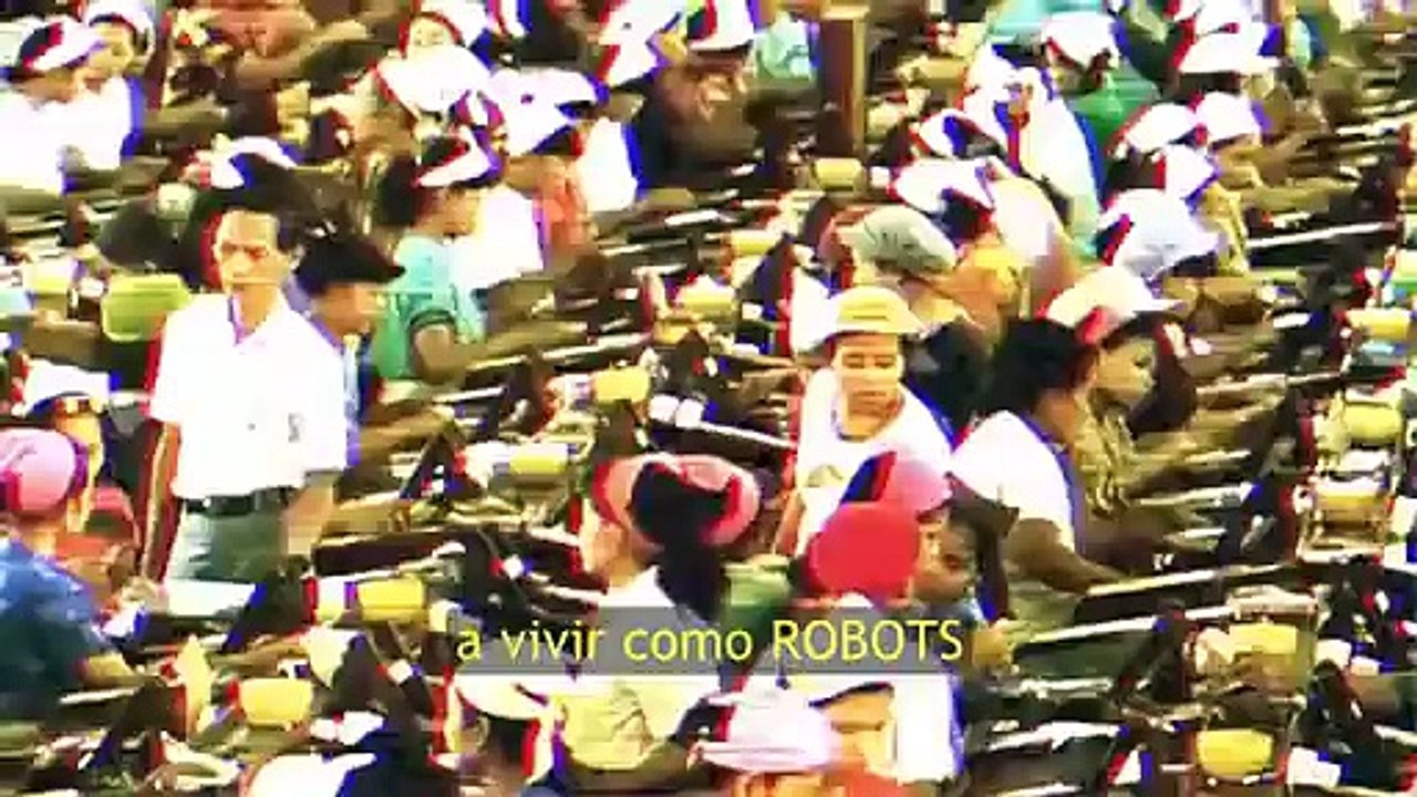Ninguna sociedad quiere que seas sabio