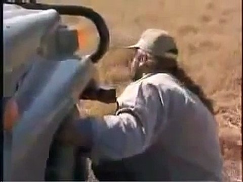 Man vs Toilet Paper vs TWO MALE LIONS. TWO! TOILET PAPER DESTROYS TWO MALE LIONS