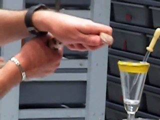 Copperhead venom extraction