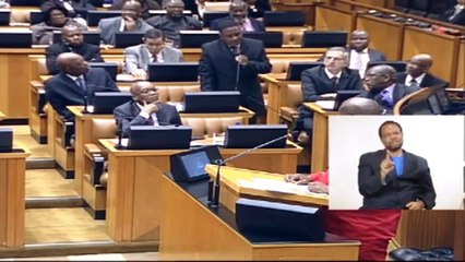 Julius Malema speech causes a stir in parliament