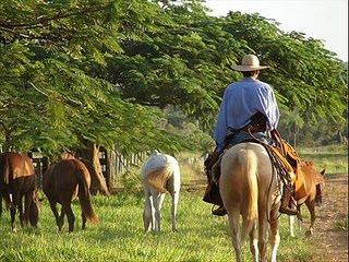 Tião Carreiro & Pardinho -Travessia do Araguaia