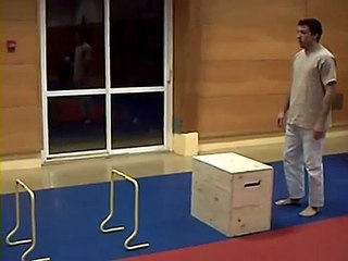 CIRCUIT TRAINING JUDO 1.wmv