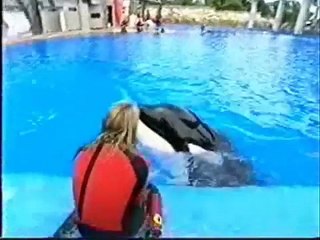 Will You Be There (Free Willy Tribute to Keiko)