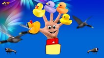 The Finger Family Duck - Family Nursery Rhyme - Duck Finger Family Songs - Family Finger Duck