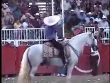 Muere caballo de cheque peña en palenque en vivo grabado