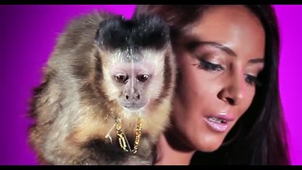 L'Algérino Feat. Alonzo - Wesh Rhey (Clip Officiel HD)