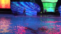 New SeaWorld Orlando Shamu show highlights - Light Up the Night