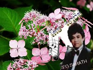 33. Keo sarath(Alai Paris)| Describe Love Song Of Keo Sarath