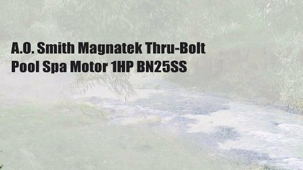 A.O. Smith Magnatek Thru-Bolt Pool Spa Motor 1HP BN25SS