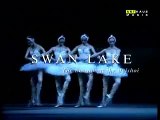 [Arthaus 100713] TCHAIKOVSKY: Swan Lake (Bolshoi Ballet, 1989)