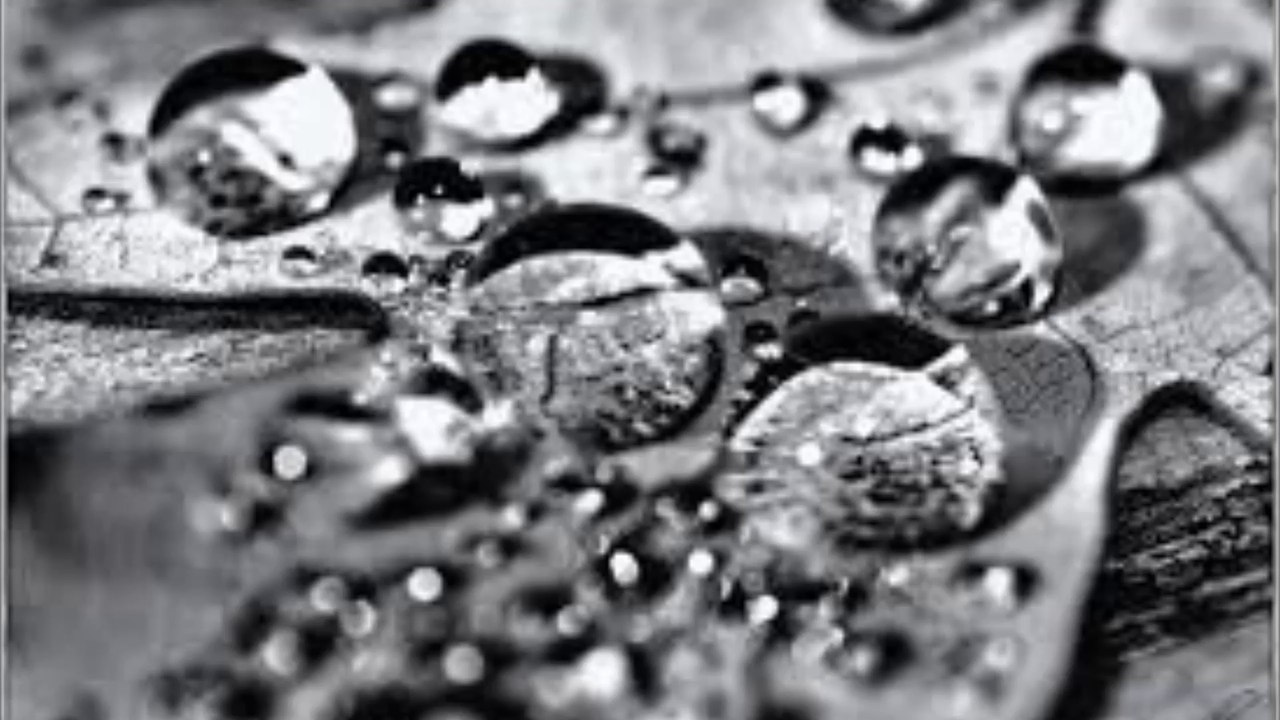 Nature And Organisation - Tears For An Eastern Girl