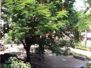 Annamalai University Hostel-Mullai Illam