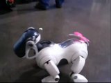 Sony Aibo ERS-7M2