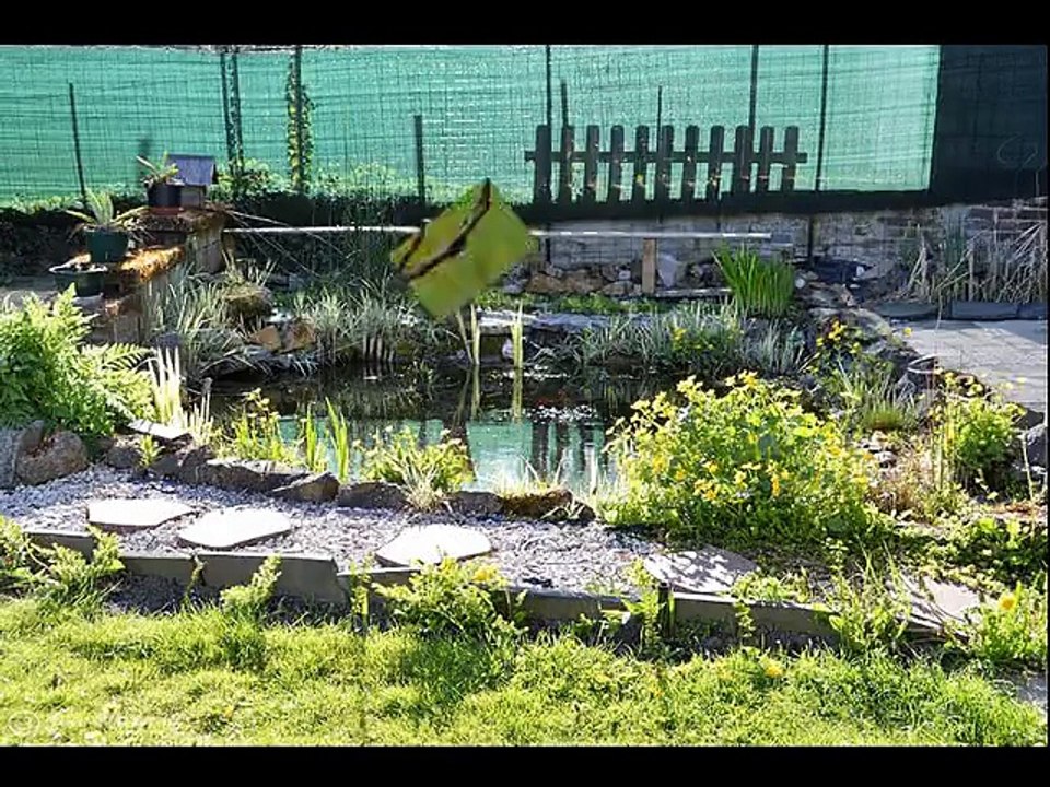 mes photos fleurs et autres