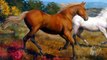 D.W.C. Horses - George Stubbs