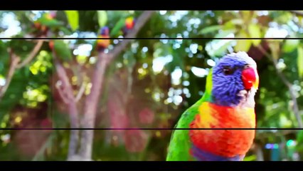 After Effects Project Files - Holiday Travel - VideoHive 9661779