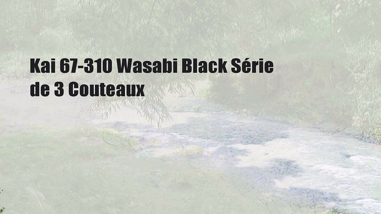 Kai 67-310 Wasabi Black Série de 3 Couteaux