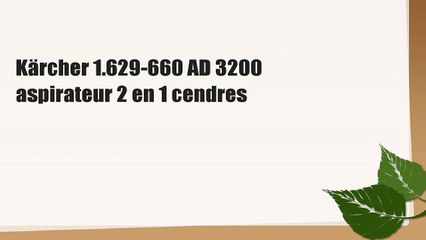 Kärcher 1.629-660 AD 3200 aspirateur 2 en 1 cendres