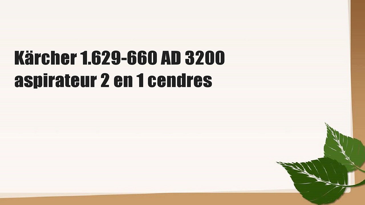 Kärcher 1.629-660 AD 3200 aspirateur 2 en 1 cendres