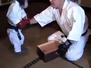 Dunya News-Karate Monkey in Action