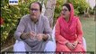 Bulbulay Ep – 257_1 – 29th April 2015 - Watch Latest Episodes of ARY Digital