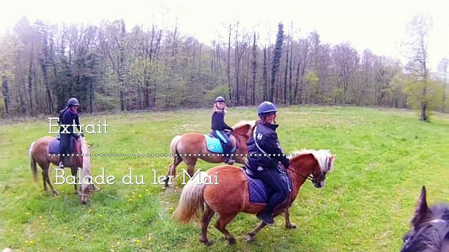 petite camargue balade 1er mai