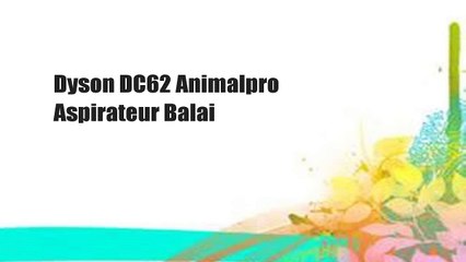 Dyson DC62 Animalpro Aspirateur Balai