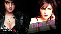 pink lips full audio song hate story 2 sunny leone meet bros anjjan ft khushboo grewal