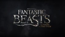 Fantastic Beasts and Where to Find Them Full Movie Streaming Online in HD720p