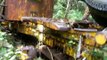 Old Kenworth logging truck parked in the forest for years