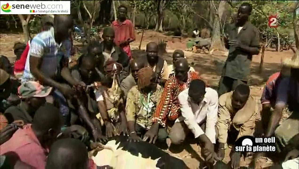 Un Œil Sur La Planète Sur Le Mali, France2 Diffuse Les Images Inédites  (2/2)