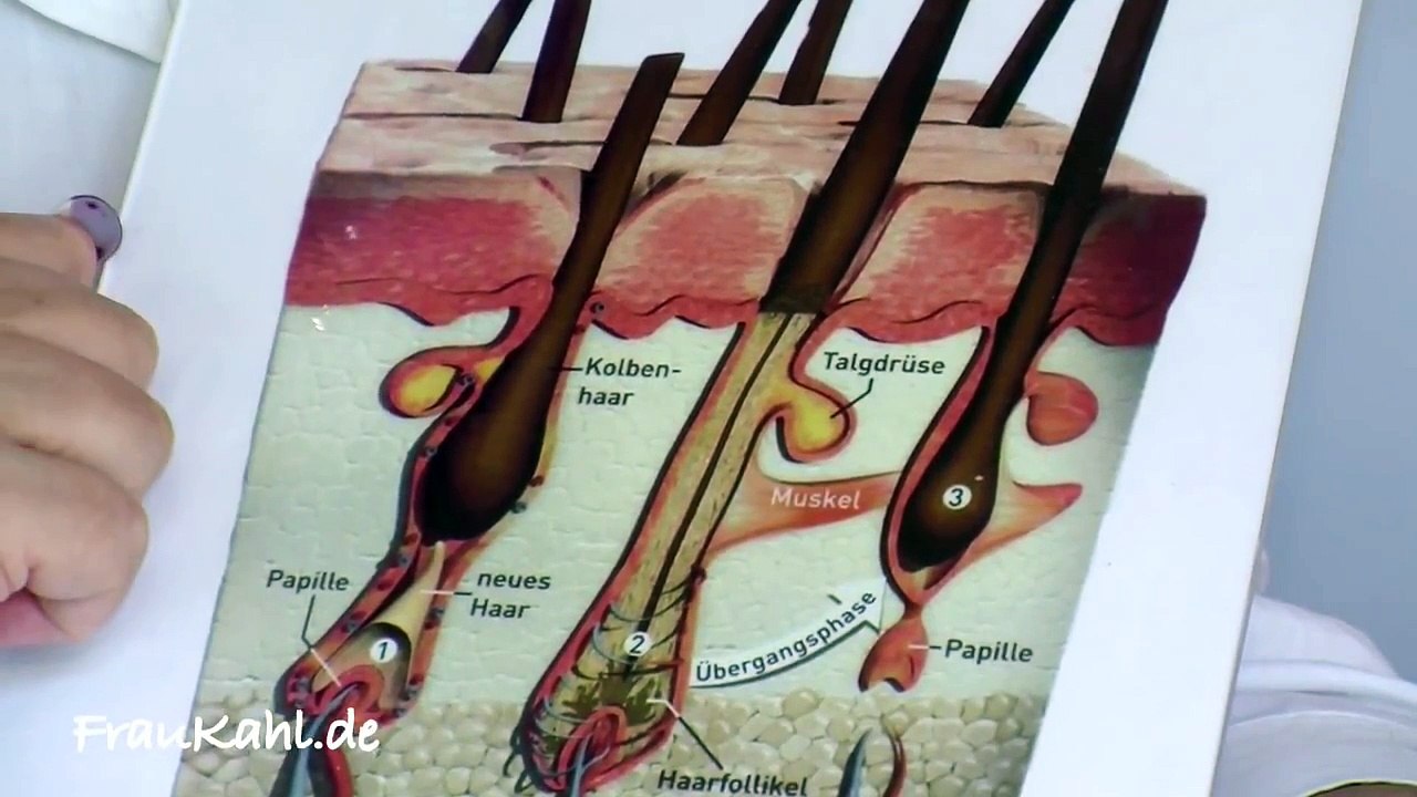 Haut Hintergrundwissen - Warum habe ich Pickel? Frau Kahl über Talgdrüsen, Akne und mehr