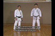 mawashi geri karate