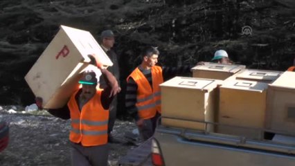 Doğanın Mevsimlik İşçisi Karıncalar"In Zorlu Yolculuğu