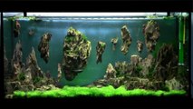 Allestimento acquario fantasy - Aquarium Setup - Aquascape: Esercitazioni Jedi STEP 3