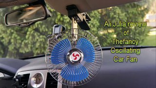 Thefancy DC 12V Popular Strong,energy Saving, Quite, Oscillating Car Cooling Fan