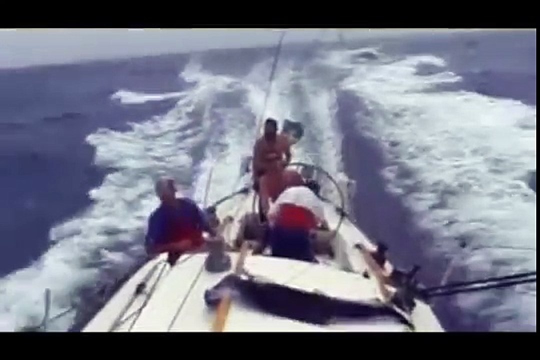 Extreme Sailing and offshore sailboat racing