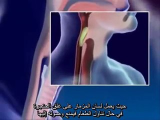 التنفس و الجهاز التنفسي...... Respiratory system