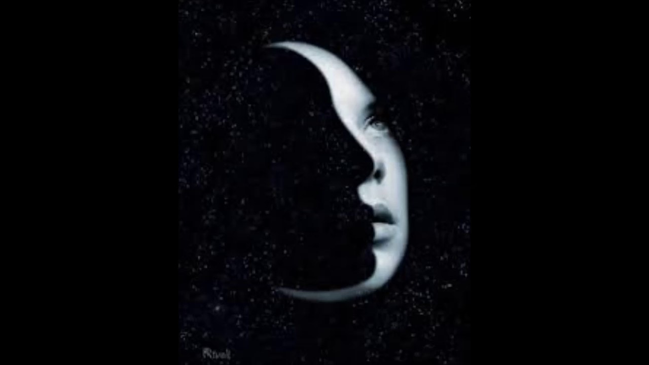 Raison d'Etre - The Shadow Of The Soul