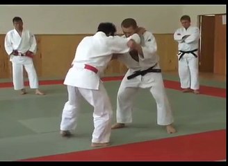 sasae tsurikomi ashi