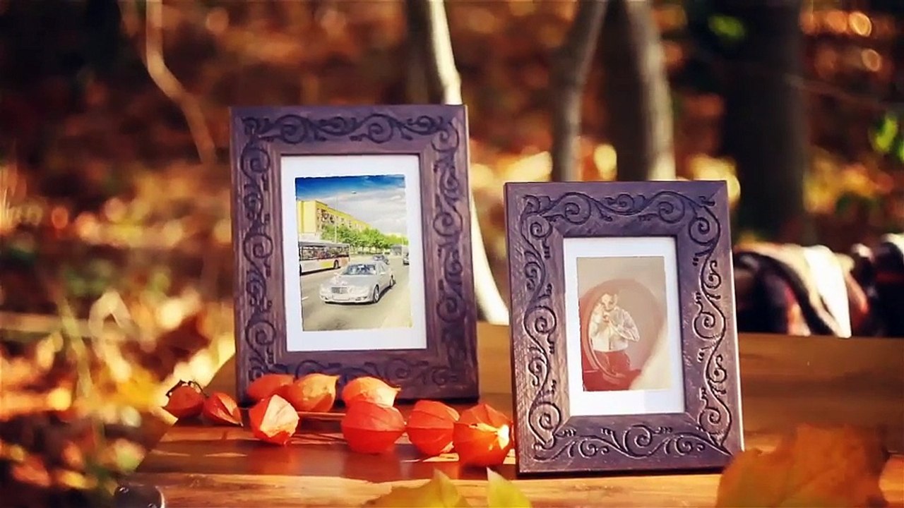 After Effects Project Files - Photo Gallery On Sunny Autumn Woods - VideoHive 9493369