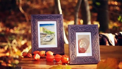After Effects Project Files - Photo Gallery On Sunny Autumn Woods - VideoHive 9493369