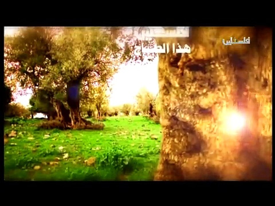 فلسطين هذا الصباح ج1 - 2/5/2015