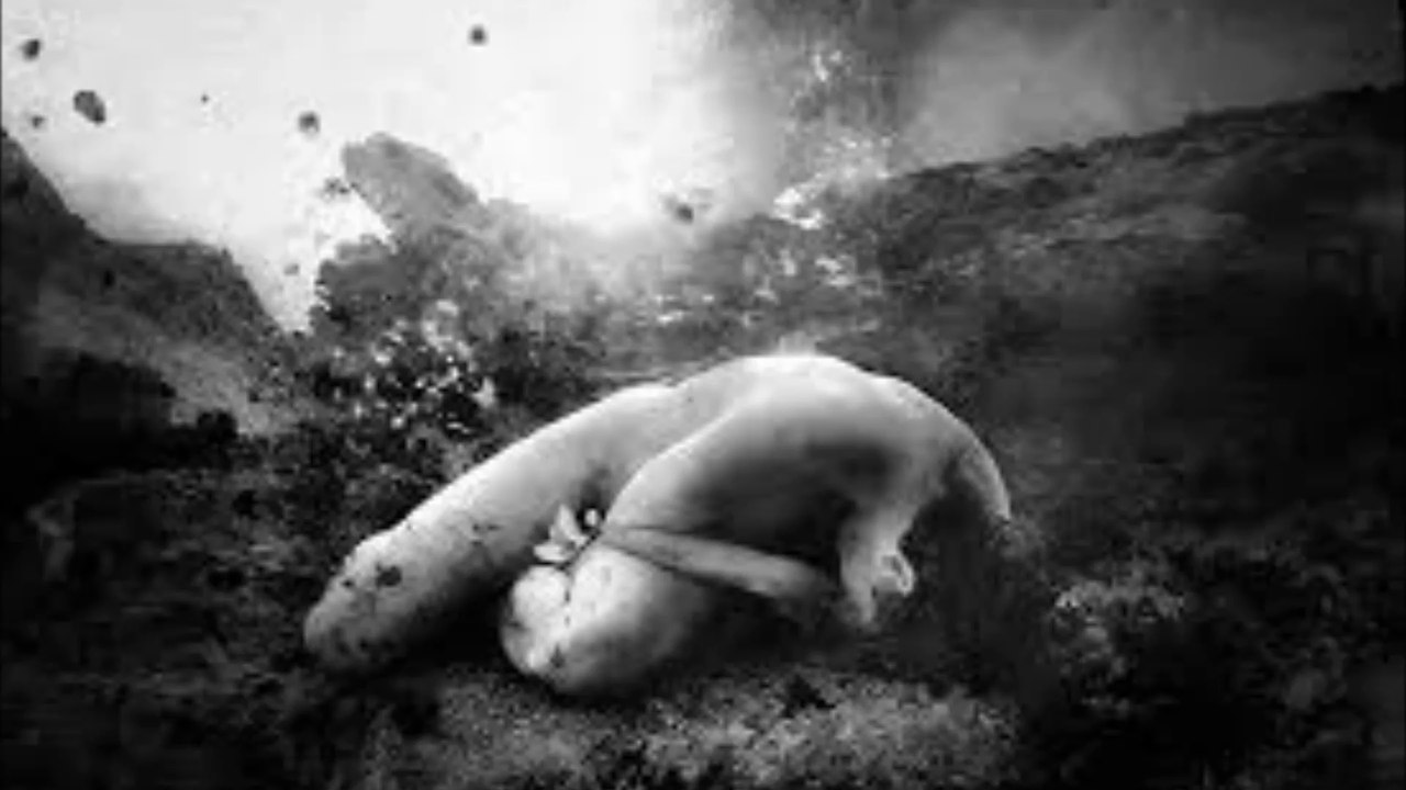 Coph Nia - Alone and Godless