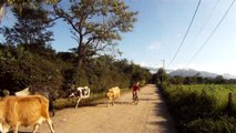 Mtb, 80 km, Trilha da Cachoeira dos Búfalos, Pindamonhangaba, SP, Brasil, Marcelo Ambrogi e os amigos, Equipe Sasselos Team nas trilhas da Serra da Mantiqueira, 01 de maio de 2015, (29)