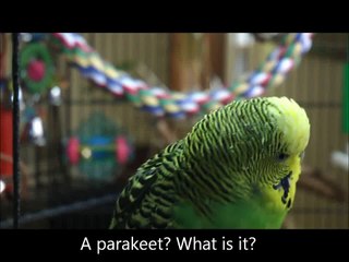 Disco's "Let's Paraphrase Airplane" Clip