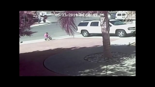 Eine mutige Katze rettet einem Kind das Leben. Hauskatze verjagt einen bissigen Hund. Hundeangriff